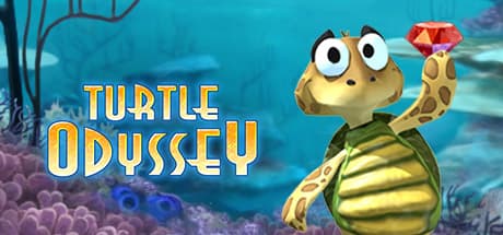 Turtle odyssey