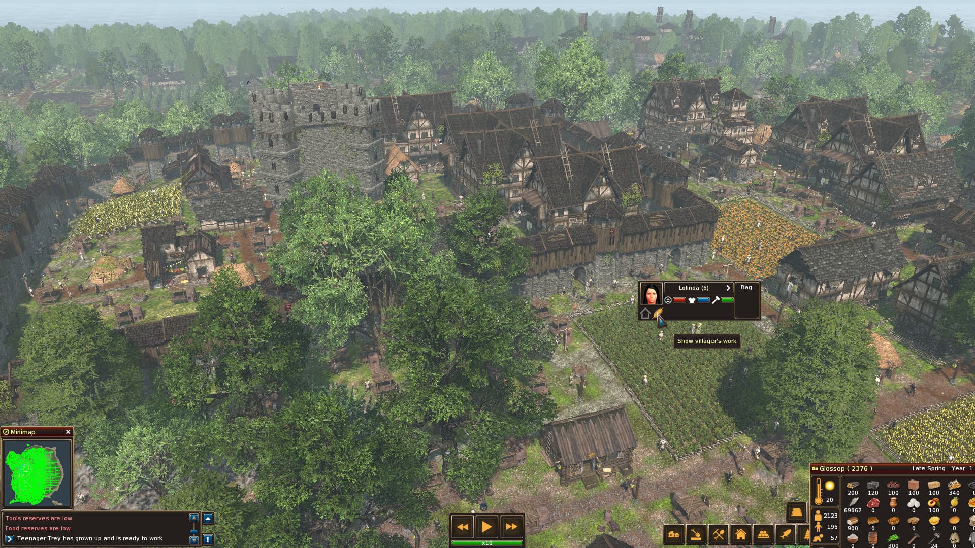 Life is Feudal: Forest Village PC Steam CD Key - 2