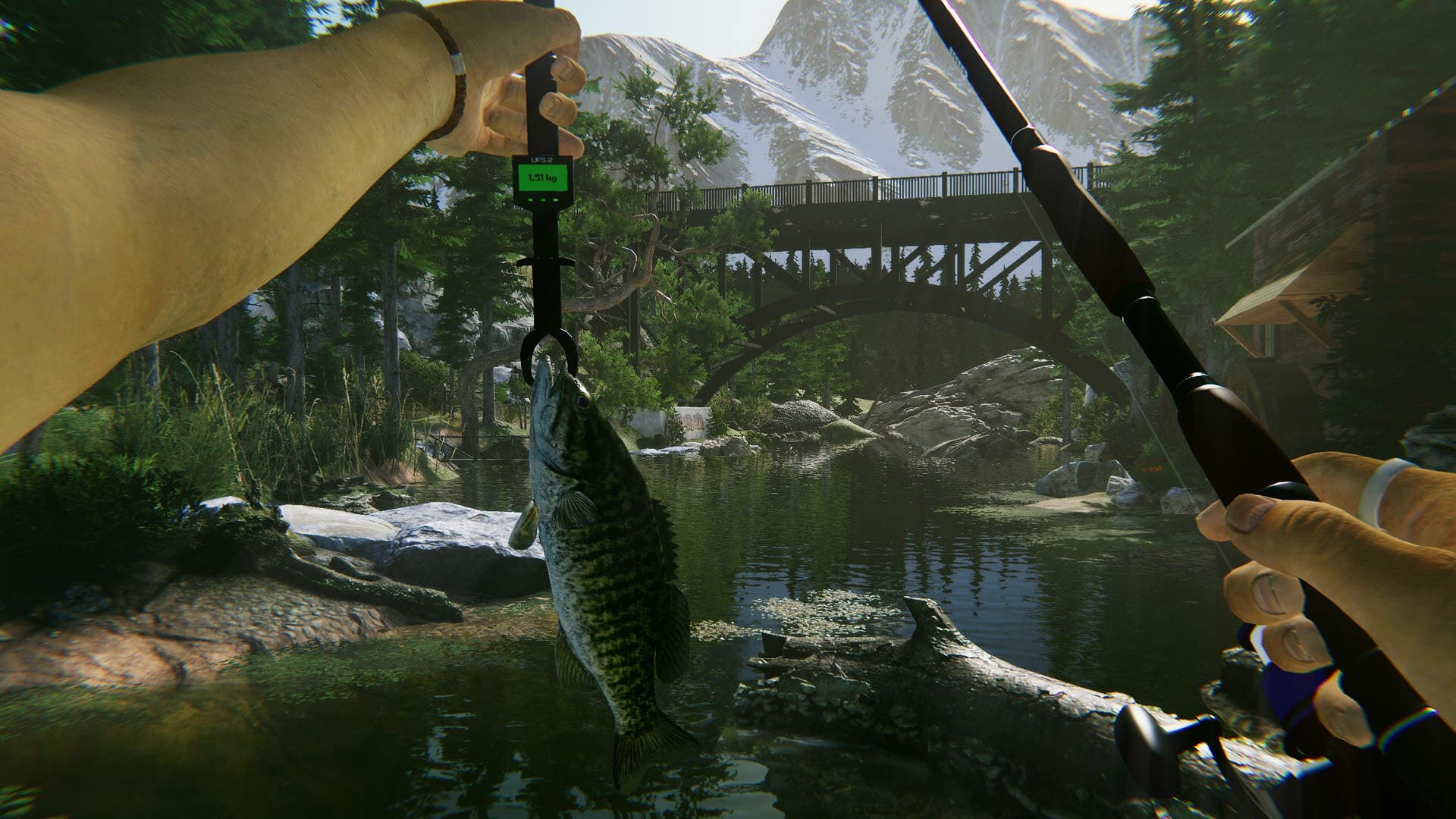 Ultimate Fishing Simulator 2 PC Steam Account - 3