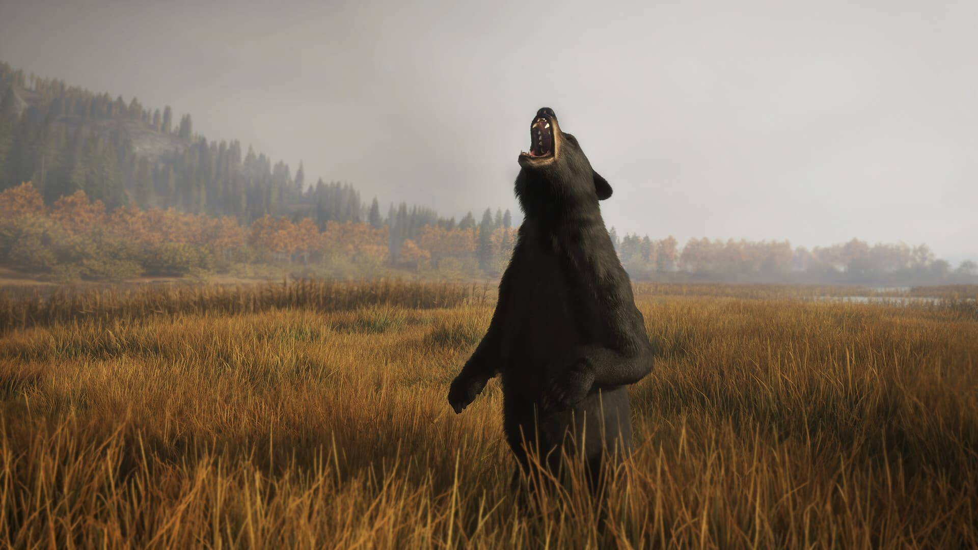 theHunter: Call of the Wild Steam Account - 8