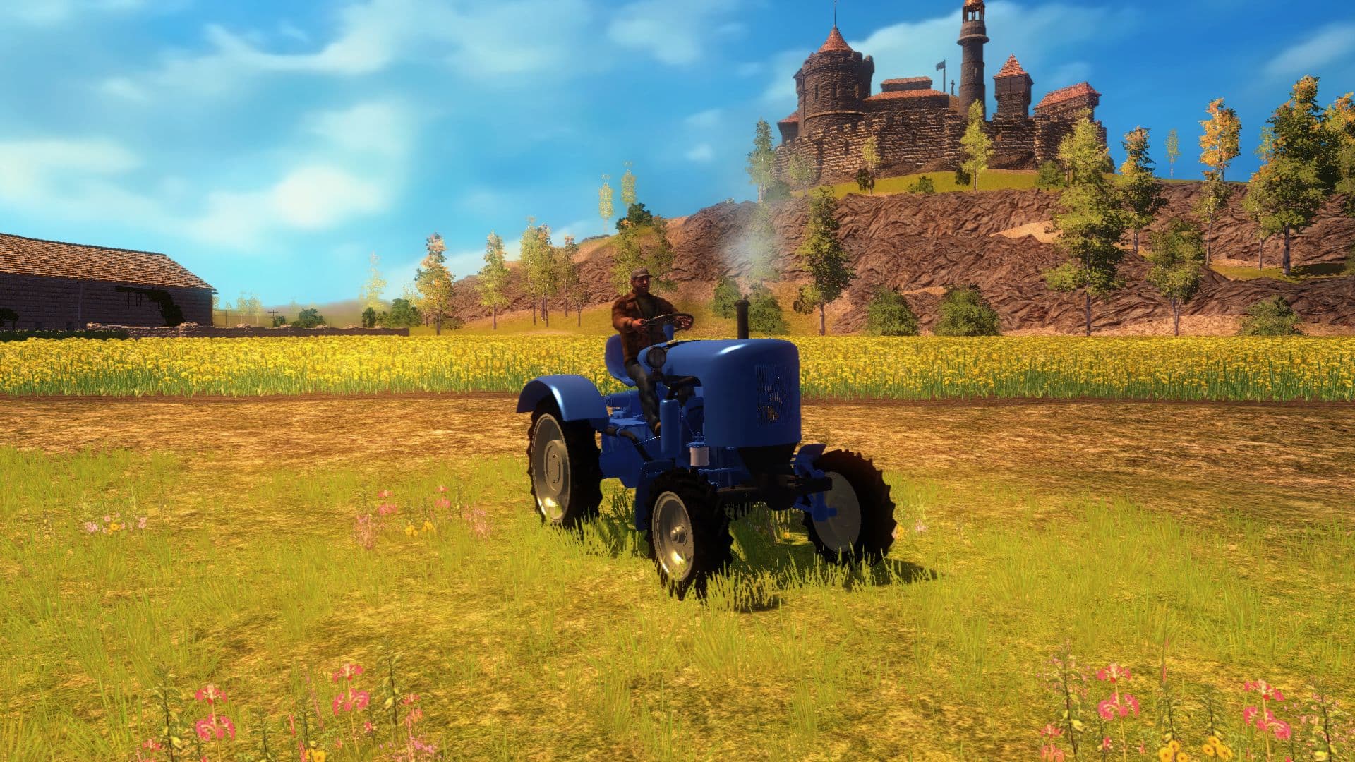 Professional Farmer 2014 - Good Ol’ Times DLC Steam CD Key - 7