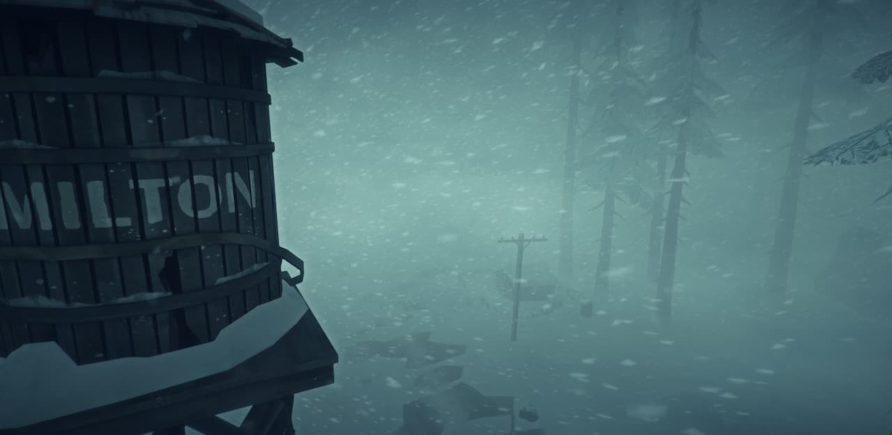 The Long Dark PC Steam Account - 3