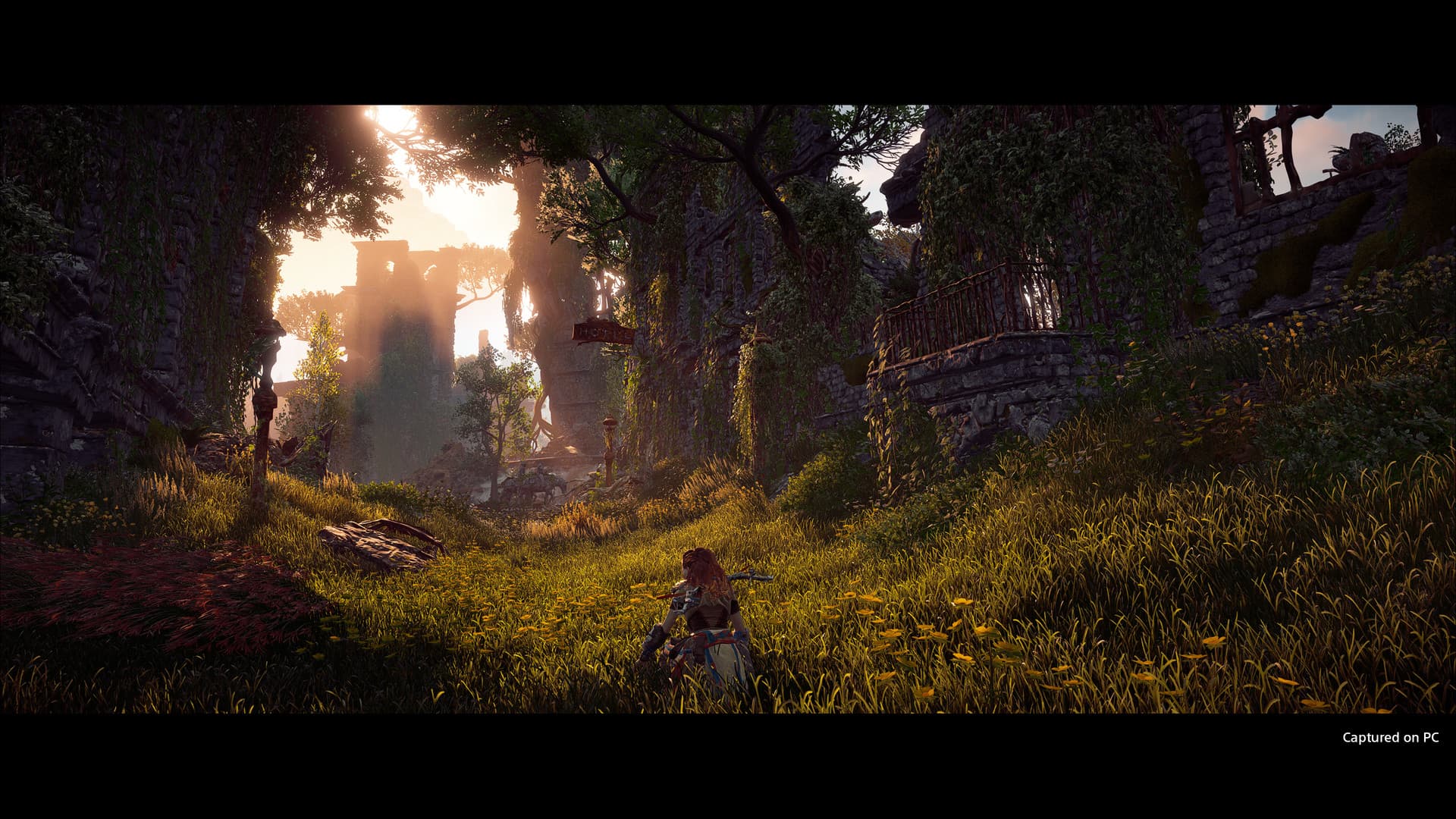 Horizon Zero Dawn™ Complete Edition - 5