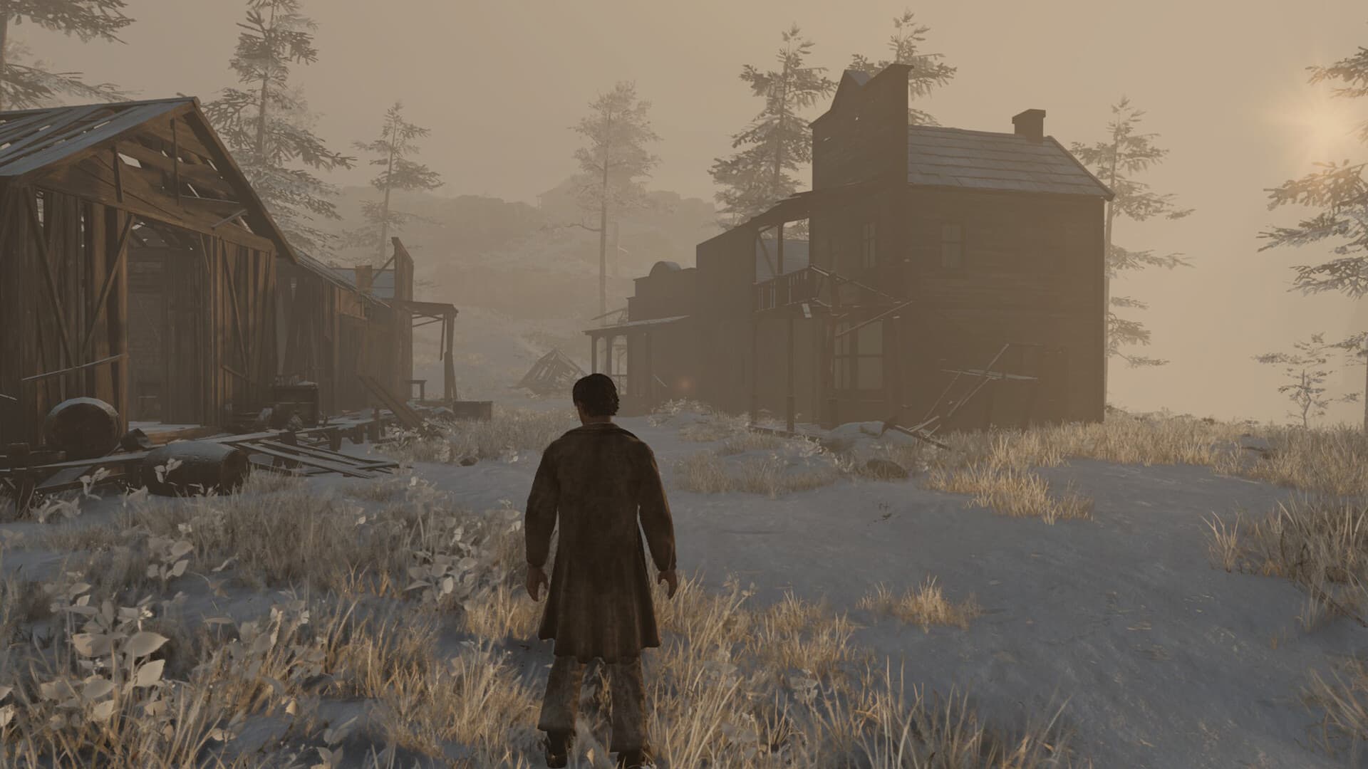 Wild West Dynasty PC Steam Account - 2