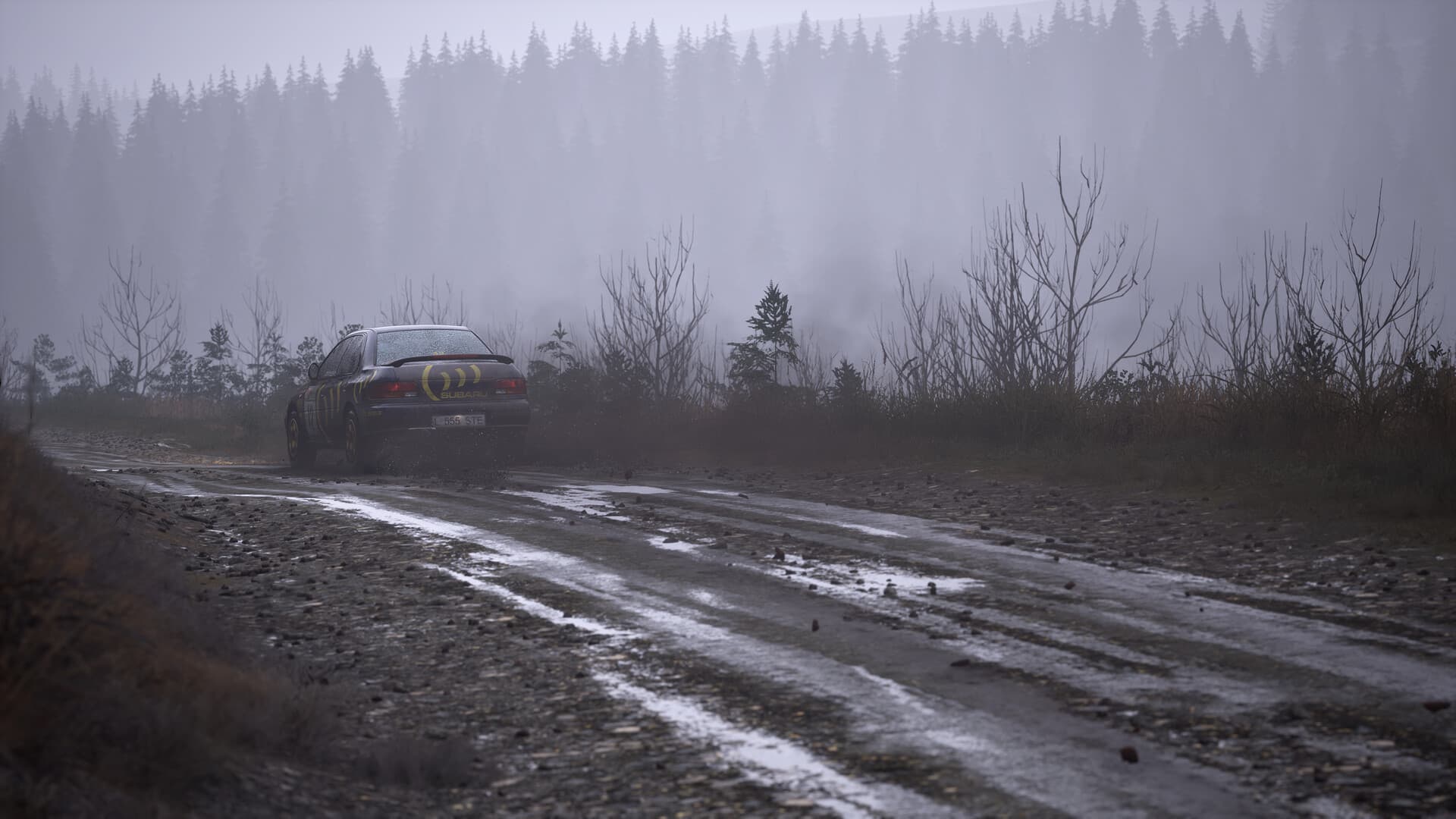 Assetto Corsa Rally PC Steam Account - 7