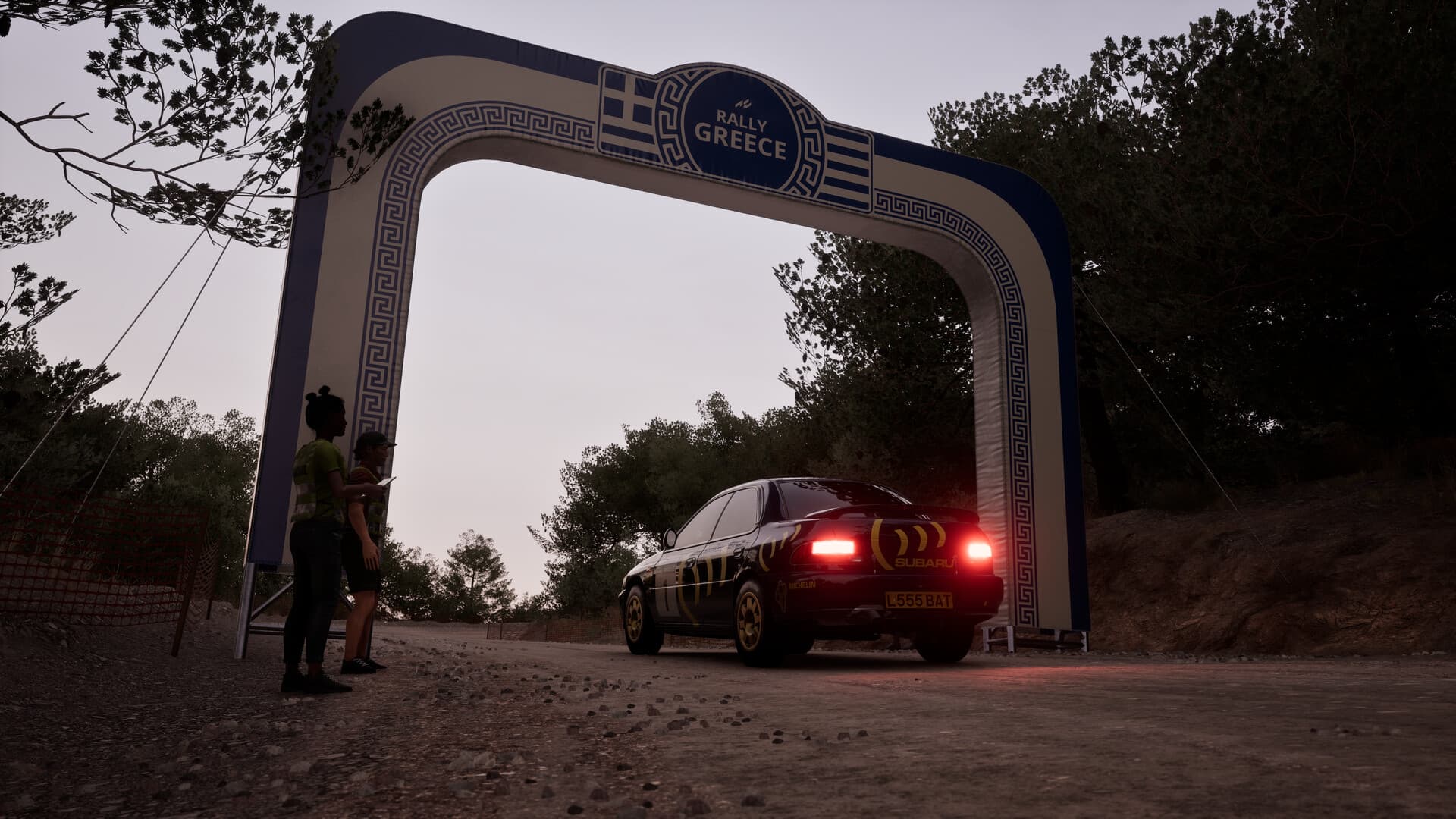 Assetto Corsa Rally PC Steam Account - 2
