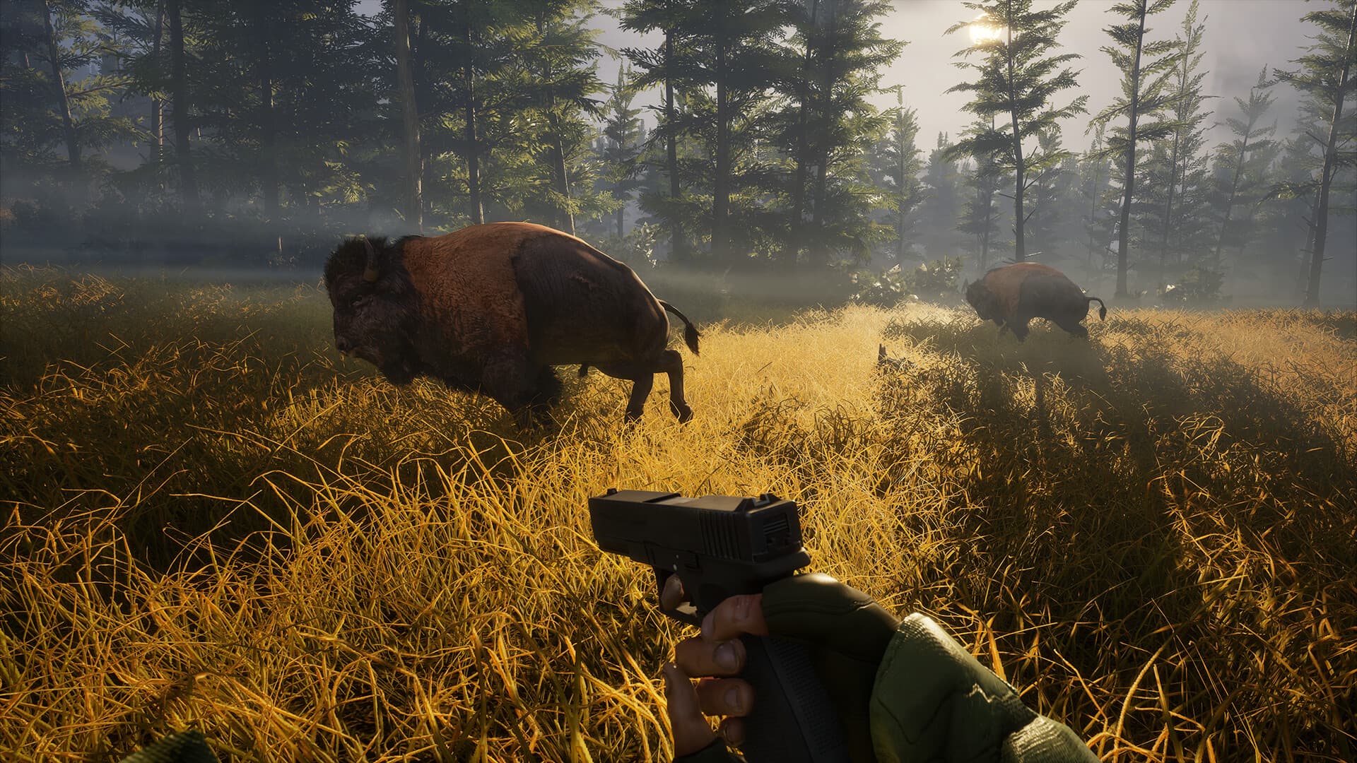 BIGFOOT Steam Account - 2