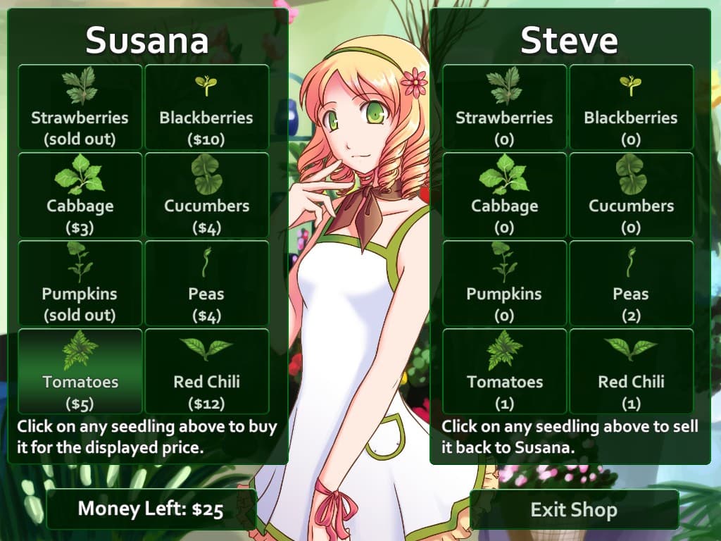 Flower Shop: Summer In Fairbrook Steam CD Key - 2