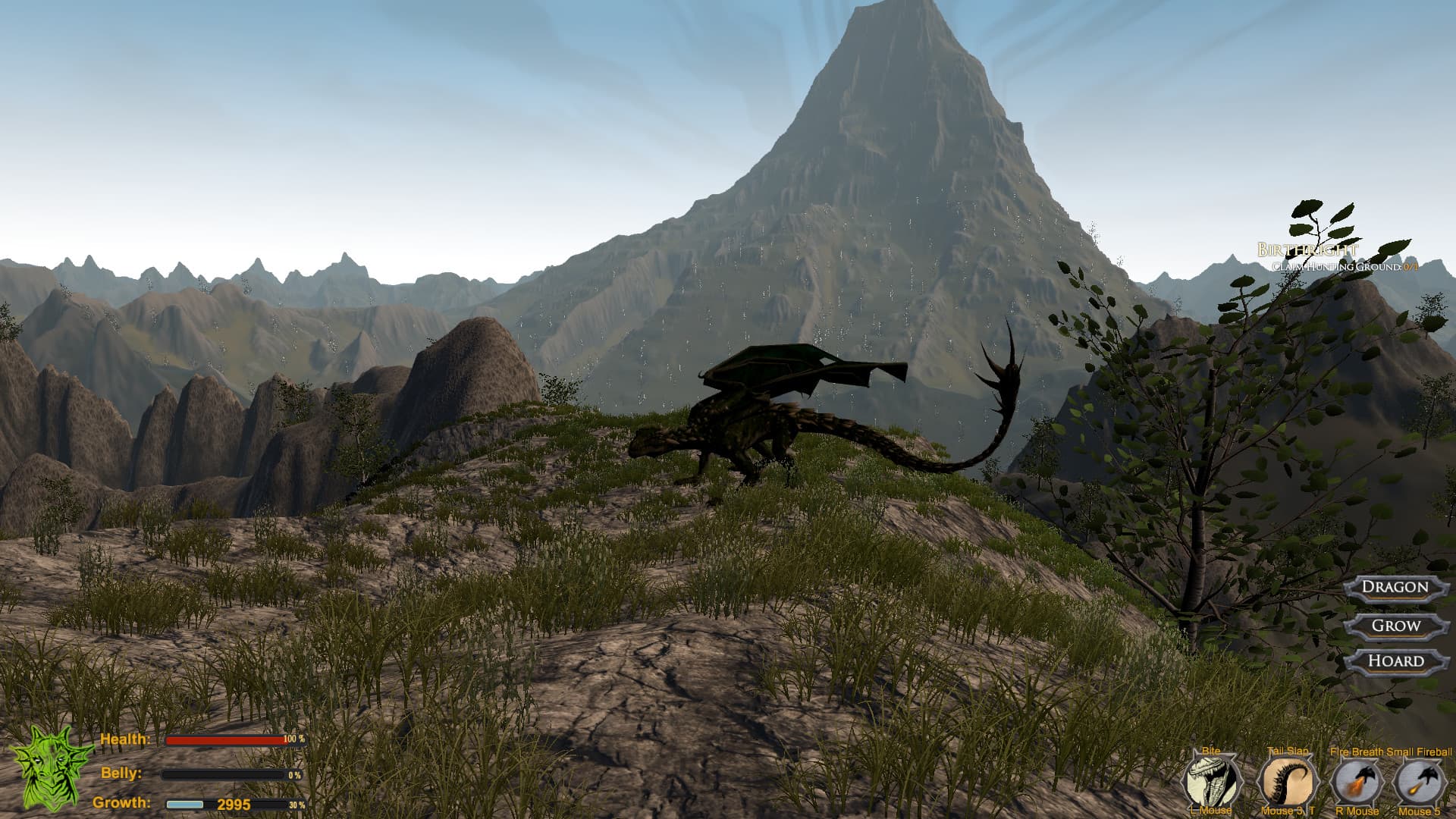Dragon: The Game Steam CD Key - 7