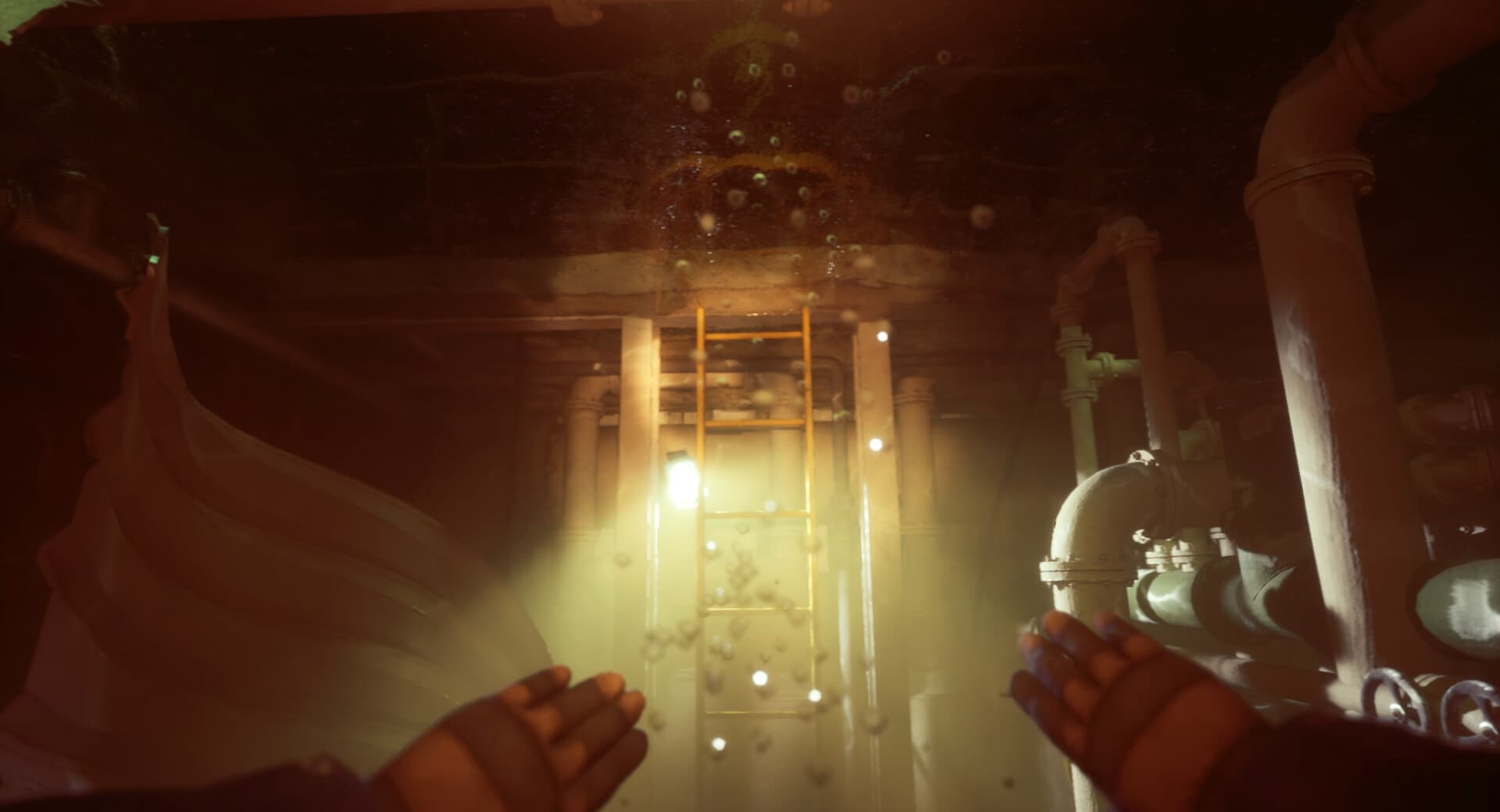 Still Wakes the Deep PC Steam Account - 6