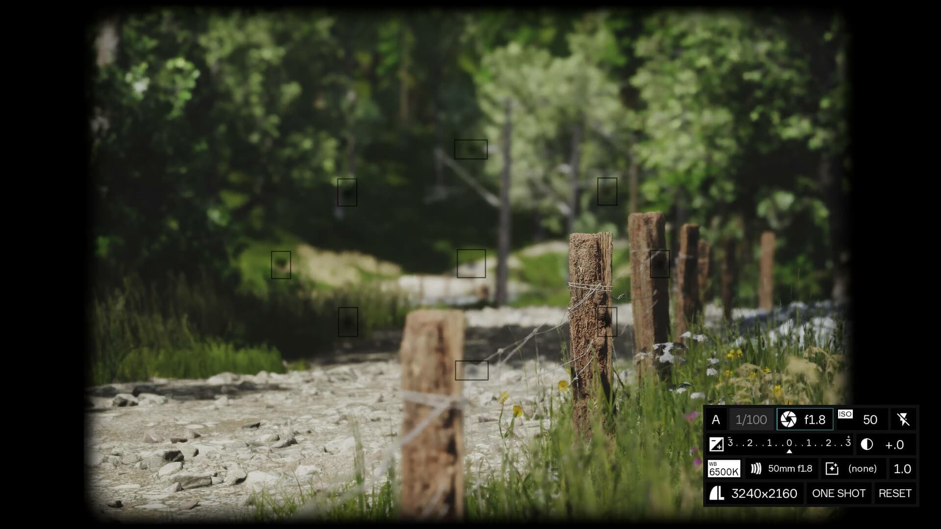 Lushfoil Photography Sim PC Steam Account - 4