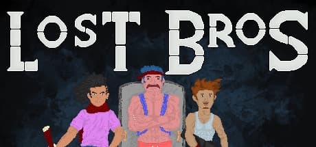 Lost Bros Steam CD Key