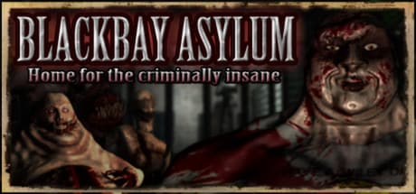 Blackbay Asylum Steam CD Key