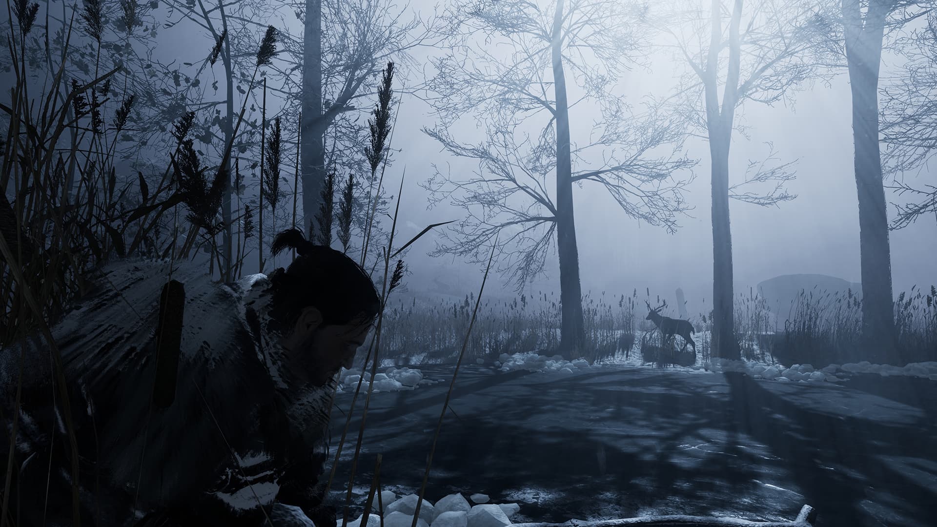 Fade to Silence PC Steam Account - 4