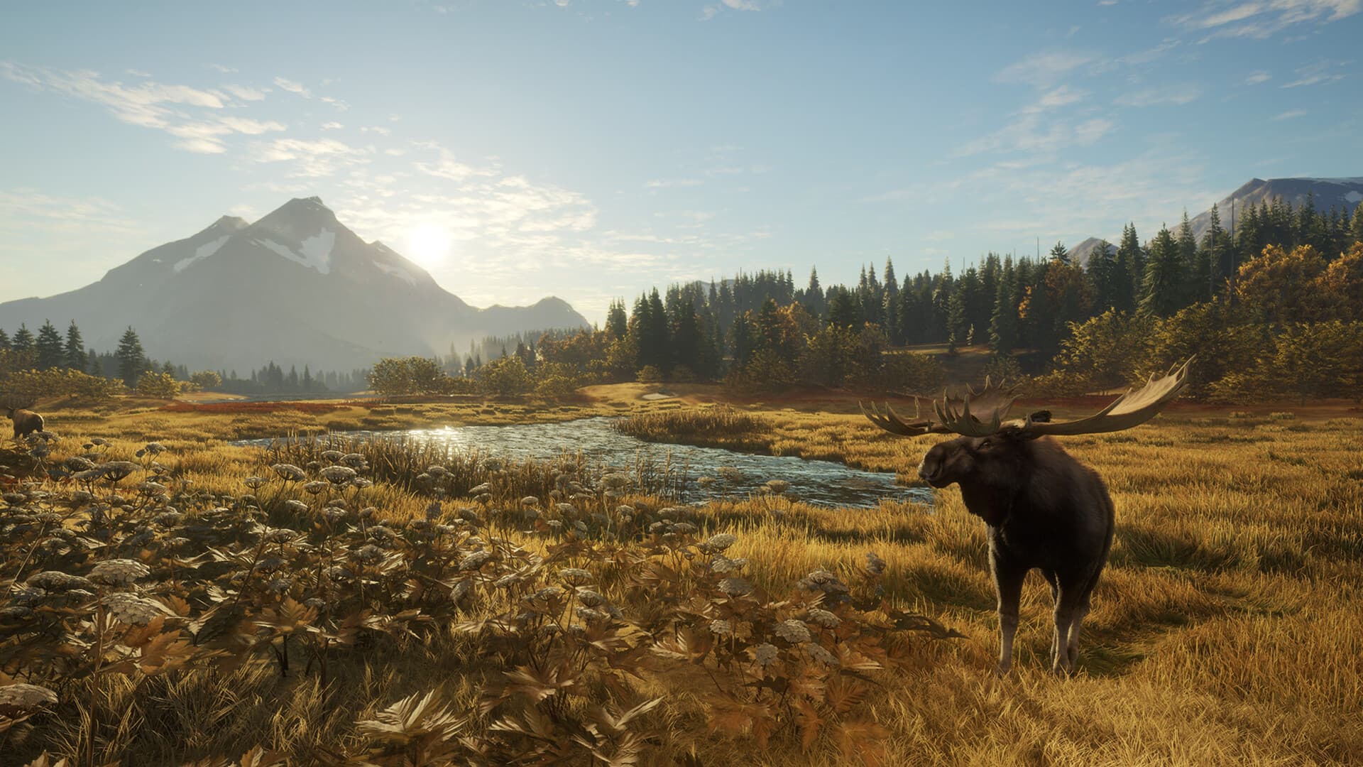 theHunter: Call of the Wild Steam Account - 2