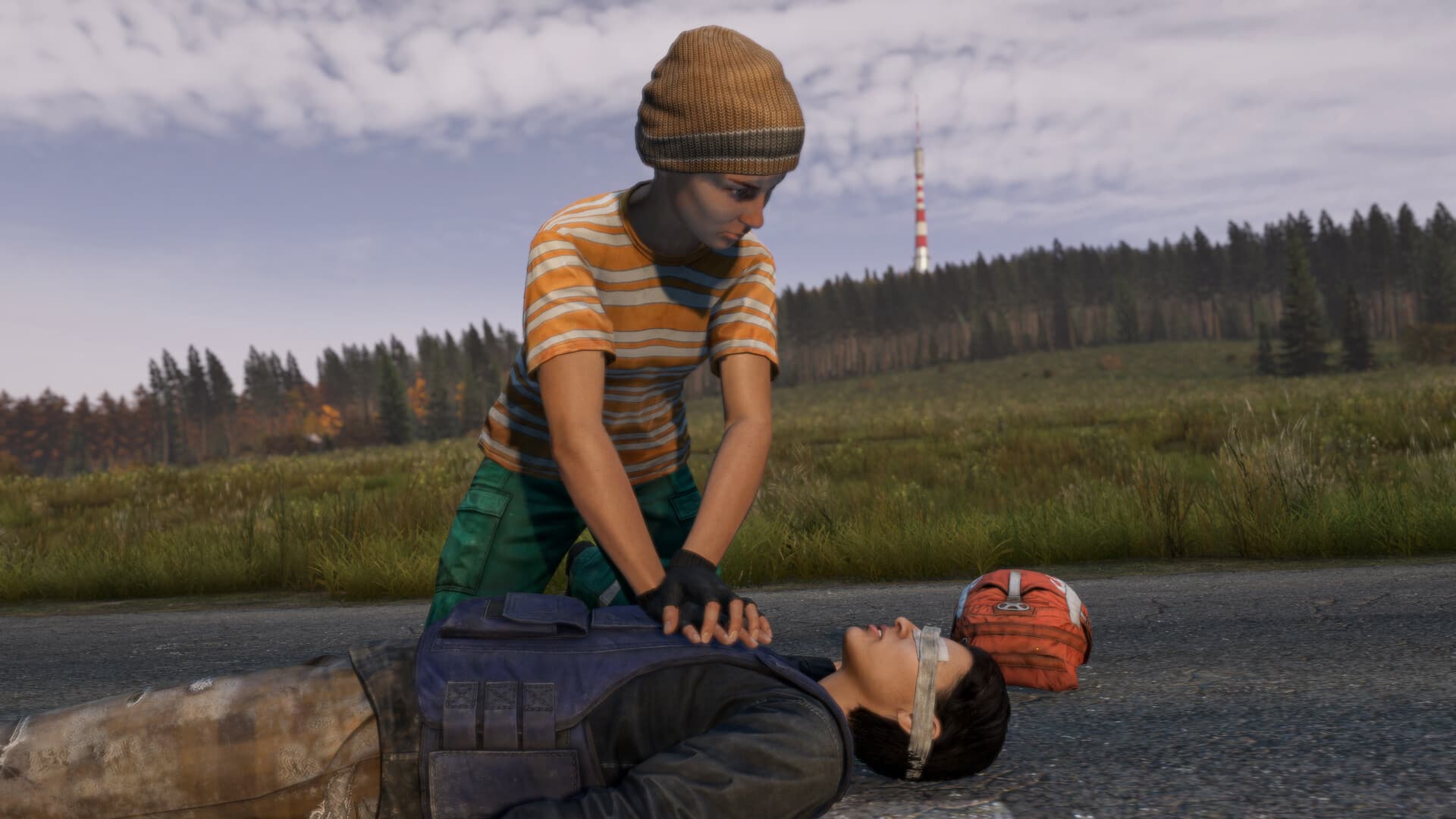 DayZ PC Steam Account - 2