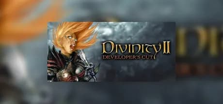 Divinity II: Developer's Cut Steam CD Key