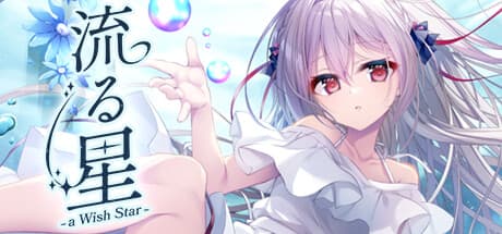 流る星 -a wish star- PC Steam Account