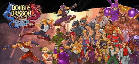 Double Dragon Gaiden: Rise Of The Dragons Steam Account