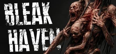 Bleak Haven PC Steam Account