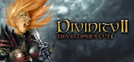 Divinity II: Developer's Cut Steam CD Key