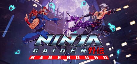 NINJA GAIDEN: Ragebound PC Steam Account