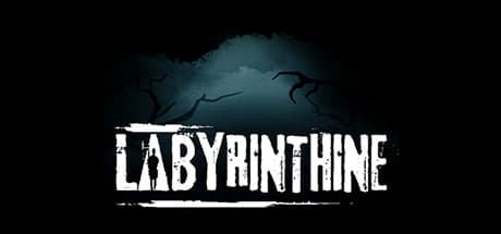 Labyrinthine PC Steam Account