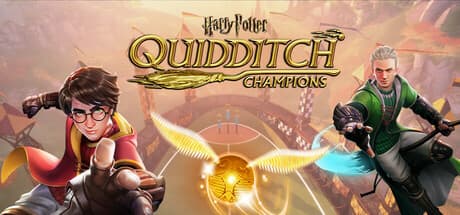 Harry Potter: Quidditch Champions PC Steam Account